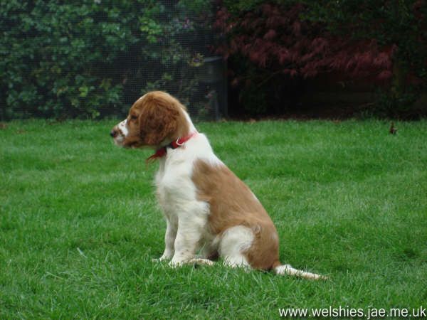2009-04-17 36L.JPG